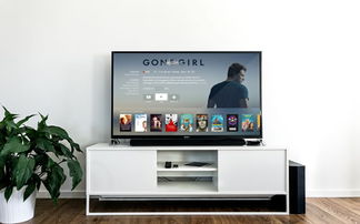 液晶電視維修收費標(biāo)準(zhǔn)、常見故障與處理方法